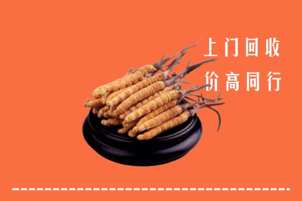 高价求购：永昌县回收散虫草