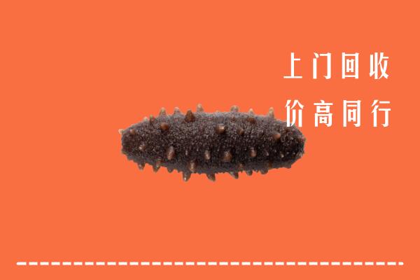 永昌县回收海参