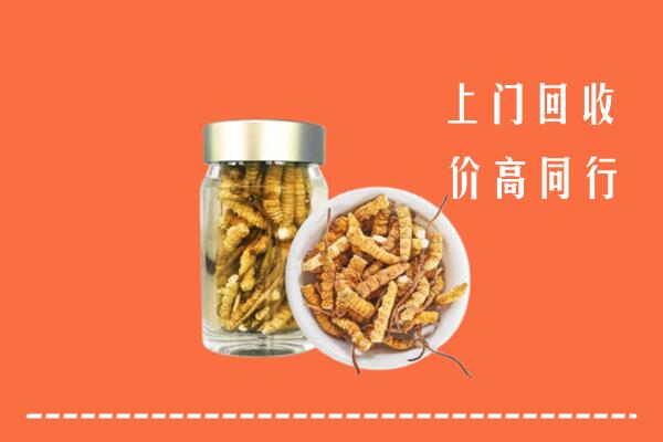 永昌县回收冬虫夏草