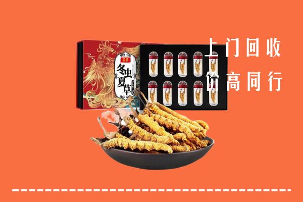 永昌县回收虫草